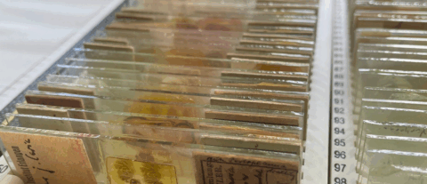 Zum Artikel "Guillotine-Opfer in der Anatomie: Erlangen erforscht NS-Zeit"